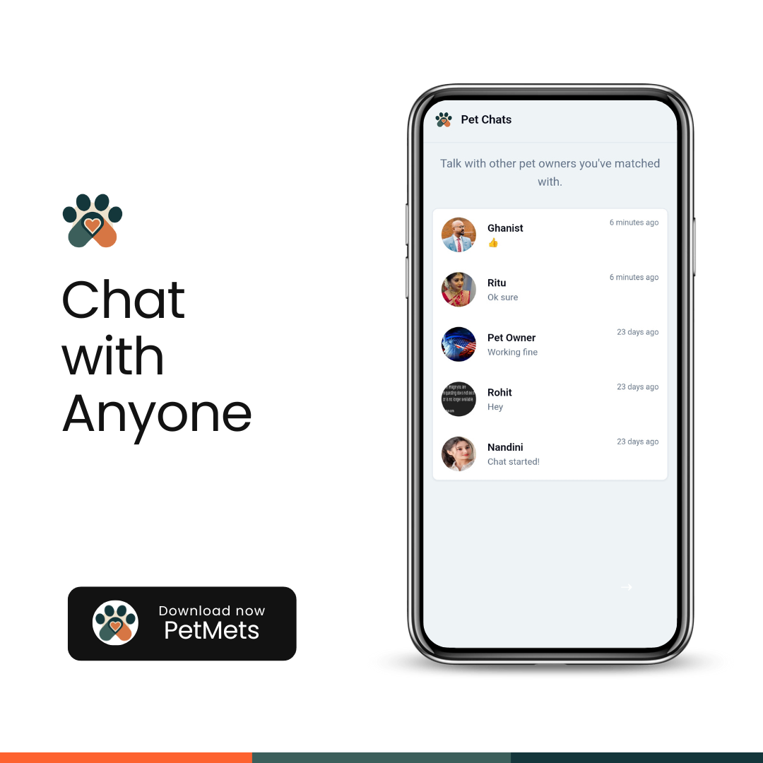 List of ongoing chats with other pet owners